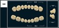 Зубы Yeti D3 SM жевательный верх (Tribos) 8 шт. 21015 - фото 483501