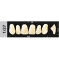 Зубы Major C1 1/27, 28 шт (Super Lux) st868385 - фото 484797