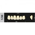 Зубы Major A4 1/30, 28 шт (Super Lux). st522782 - фото 484818