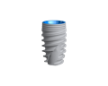 Имплантат NobelActive WP 5,5 x 10 мм 37808 - фото 488105