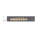 Kaifeng - зубы акриловые 8*1/ A2, 32U (1 планка) A232U_Kaifeng - фото 514599