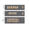 Kaili - зубы акриловые, верхние S2/нижние L2, цвет B1, размер 30, коробка 4х28 шт B1S2/L2/30_Kaili - фото 514636