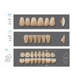 Kaifeng - зубы акриловые, верхние S4, цвет B3, коробка 4х28 шт B3S4/L7/32_Kaifeng - фото 514669