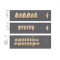 Kaili - зубы акриловые, верхние T2/нижние L2, цвет D3, размер 30, коробка 4х28 шт D3T2/L2/30_Kaili - фото 514695