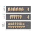 Kaili - зубы акриловые, верхние T8/нижние L8, цвет C4, размер 34, коробка 4х28 шт C4T8/L8/34_Kaili - фото 514735